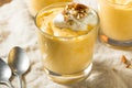 Homemade Sweet Pumpkin Pudding Royalty Free Stock Photo