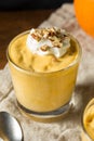 Homemade Sweet Pumpkin Pudding Royalty Free Stock Photo