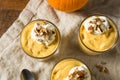 Homemade Sweet Pumpkin Pudding Royalty Free Stock Photo
