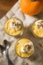 Homemade Sweet Pumpkin Pudding Royalty Free Stock Photo