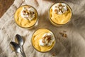 Homemade Sweet Pumpkin Pudding Royalty Free Stock Photo