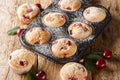 Homemade sweet and sour muffins with fresh cherries close-up in a muffin tin. Horizontal Royalty Free Stock Photo