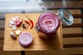 Homemade sweet and spicy pickled red onions sliced in a large glass jar Royalty Free Stock Photo