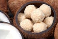 Homemade sweets in a coconut bowl Royalty Free Stock Photo