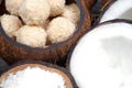 Homemade sweets in a coconut bowl Royalty Free Stock Photo