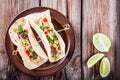 Homemade tacos with salmon Royalty Free Stock Photo