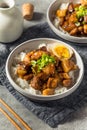 Homemade Taiwanese Lu Rou Fan Braised Pork and Rice