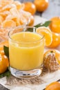 Homemade Tangerine Juice