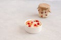 Homemade tasty fermented milk products on a plate sauerkraut with cranberries on a white background, copy space