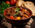 homemade tasty Hungarian goulash with beef fresh vegetables and bread.