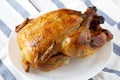 Homemade tasty rotisserie chicken on white plate, side view. Close-up Royalty Free Stock Photo