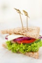 Homemade tasty vegetarian sandwich with fresh vegetables Royalty Free Stock Photo