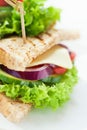 Homemade tasty vegetarian sandwich with fresh vegetables and cheese Royalty Free Stock Photo