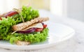 Homemade tasty vegetarian sandwich with fresh vegetables and cheese