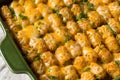 Homemade Tater Tot Hotdish Casserole Royalty Free Stock Photo