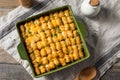 Homemade Tater Tot Hotdish Casserole Royalty Free Stock Photo