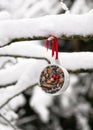 Homemade teacup bird feeder hanging on a tree in the winter garden. Royalty Free Stock Photo