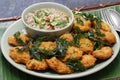 Homemade Thai fried fish cakes Royalty Free Stock Photo