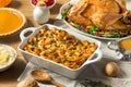 Homemade Thanksgiving Stuffing Dressing Casserole Royalty Free Stock Photo
