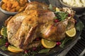 Homemade Thanksgiving Turkey Dinner Royalty Free Stock Photo