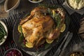 Homemade Thanksgiving Turkey Dinner Royalty Free Stock Photo