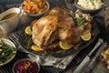 Homemade Thanksgiving Turkey Dinner Royalty Free Stock Photo