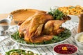 Homemade Thanksgiving Turkey Dinner with Potatoes Royalty Free Stock Photo