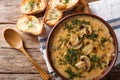 Homemade thick mushroom soup and toast close-up. horizontal top