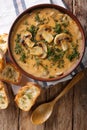 Homemade thick mushroom soup and toast close-up. Vertical top vi