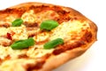 Homemade thin crust pizza Royalty Free Stock Photo