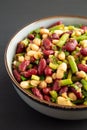 Homemade Three Bean Salad in a Bowl on a black background, side view