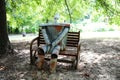 Tin Man woodsman in a forest.