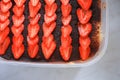 Homemade tiramisu cake decorated by strawberry on kitchen windowsill. Selective focus. Italian food concept Royalty Free Stock Photo