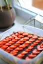 Homemade tiramisu cake decorated by strawberry on kitchen windowsill. Selective focus. Italian food concept Royalty Free Stock Photo