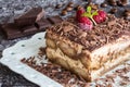 Homemade Tiramisu Cake Dessert with Grated Chocolate, Raspberry and Mint Royalty Free Stock Photo