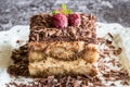 Homemade Tiramisu Cake Dessert with Grated Chocolate, Raspberry and Mint Royalty Free Stock Photo