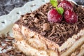 Homemade Tiramisu Cake Dessert with Grated Chocolate, Raspberry and Mint Royalty Free Stock Photo