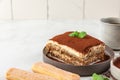 Homemade tiramisu cake with fresh mint on plate over white background. Delicious no bake italian dessert Royalty Free Stock Photo