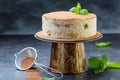 Homemade tiramisu cake on a stand Royalty Free Stock Photo