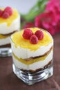 Homemade Tiramisu in a glass with mango Royalty Free Stock Photo