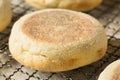 Homemade Toasted English Muffins Royalty Free Stock Photo