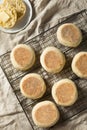 Homemade Toasted English Muffins Royalty Free Stock Photo