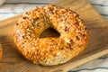 Homemade Toasted Everything New York Bagel Royalty Free Stock Photo