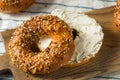 Homemade Toasted Everything New York Bagel Royalty Free Stock Photo