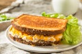 Homemade Toasted Tuna Melt Sandwich