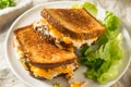 Homemade Toasted Tuna Melt Sandwich