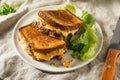 Homemade Toasted Tuna Melt Sandwich