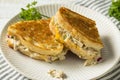 Homemade Toasted Tuna Melt Sandwich Royalty Free Stock Photo