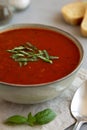 Homemade Tomato Basil Soup in a Bowl, low angle view. Close-up Royalty Free Stock Photo