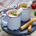 Homemade tomato basil soup in the mug, served with mozzarella cheese stick and croutons, square format Royalty Free Stock Photo